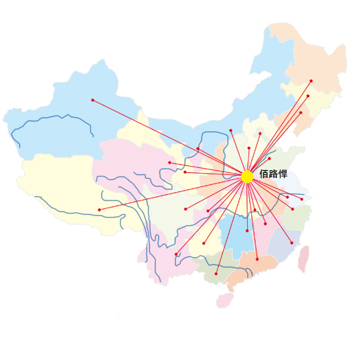 國內市場